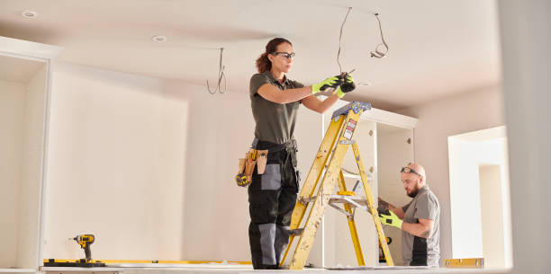 Best Electric Panel Repair  in Foley, MN